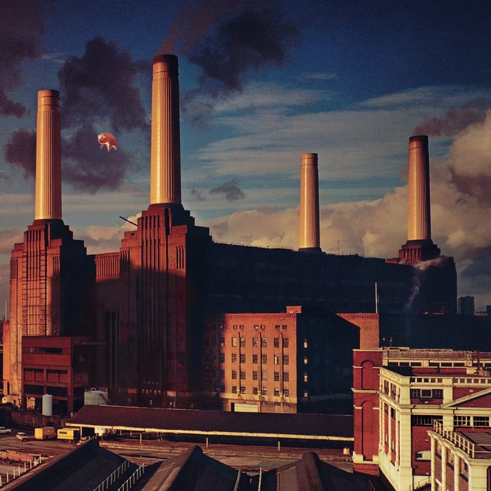 Capa do álbum Animals, do Pink Floyd