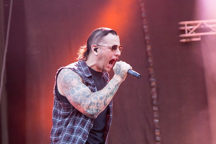 M. Shadows cantando ao vivo no festival Nova Rock 2014