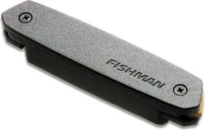 Fishman Neo-D